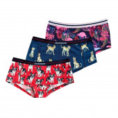 Darkzone Flamingo-Kaplan-Köpek Desenli Dijital Baskılı 3'lü Kadın Hipster - 1