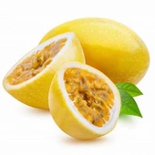 Sarı Meyveli Çarkıfelek Pasiflora Edulis PANAMA GOLD - 1