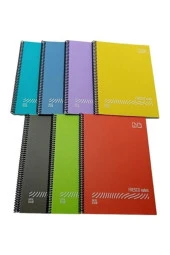 Gıpta Fresco Spiralli Düz Plastik Defter A4 72 Yaprak Çizgili (12 Li Paket) - 1