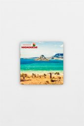 Madagaskar Temalı Ahşap Bardak Altlığı - 3