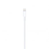 Apple USBA to Lightning Kablo 2m MD819ZM/A Apple Türkiye Garantili - 4