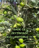 Saç  Dökülmesi - 2