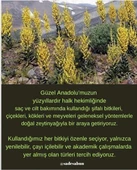 Saç  Dökülmesi - 4