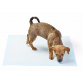 Yıkanabilir Köpek Çiş Pedi - 100 X 100 Cm 5li Paket - 3
