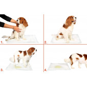 Yıkanabilir Köpek Çiş Pedi - 100 X 100 Cm 5li Paket - 4