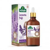 Arifoğlu Lavanta Yağı 100 ML - 1