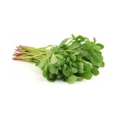 Semiz Otu Tohumu 10 gr Paket - 2