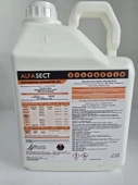 Alfa Sect SC Kokusuz Haşere Öldürücü| 5 Litre - 2
