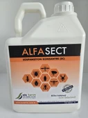 Alfa Sect SC Kokusuz Haşere Öldürücü| 5 Litre - 1