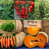 6 Paket Tohum No4 Hibrit Badem Salatalık Tohumu Hıyar Nasuhi F1 Domates Bal K. Frenk Maydanoz Tohumu Sebze Tohumları - 1
