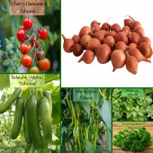 6'lı No7 Çeri Domates Salatalık Tohumu Frenk Maydanoz Tohumu 1 Kg Kıska Soğan Tohumu Iska ... - 1