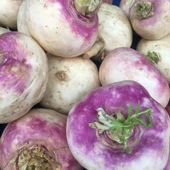 Şalgam Turpu (Turnip) Tohumu 10 gr Paket - 1