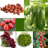6 Paket Tohum No20 Kıska Iska 1 Kg. Arpacık Soğan Salatalık Domates Marul Cherry Domates Tohumu - 1