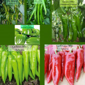 6 Paket Tohum No16 Tatlı Kıl Demre Üçburun Köy Biberi Tohumu Çarliston Kapya Dolma Biber Tohumu - 1