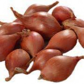 Iska Soğan Tohumu 3 kg BÜYÜK BOY - 1