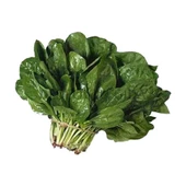 Yerli Ispanak Tohumu 10 gr Paket - 1