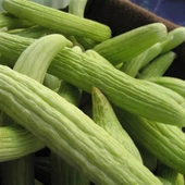 Acur Tohumu 10 gr Paket - 1