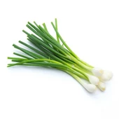 Yeşil Soğan Tohumu 5 gr Paket - 1