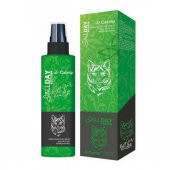 Allday All-Catnip Kedi Oyun Sprey 150 Ml - 1