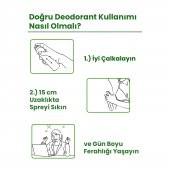Free Love Golden Secret Kadın Deodorant 150 ml - 4