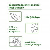 Free Love Eurodream Kadın Deodorant 150 ml - 4