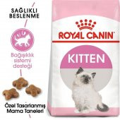 Royal Canin 36 Kitten Yavru Kuru Kedi Maması 4 kg - 1