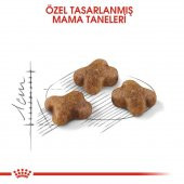 Royal Canin 36 Kitten Yavru Kuru Kedi Maması 4 kg - 3