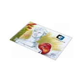 Alex Resim Defteri 35x50 Spr. 120 Gr 15 Yp - 1