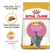 Royal Canin British Shorthair Kedi Maması 2 Kg - 1