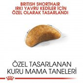 Royal Canin British Shorthair Kedi Maması 2 Kg - 3