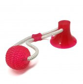 Vantuzlu Top Pembe Köpek Oyuncağı - 1