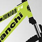 Bianchi Junıor 24 Jant 370H 21-V Vb Sarı-Siyah-Gri - 2