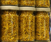 Arı Poleni (250 Gr) - 1