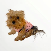 Pink İstanbul Atlet Köpek Kıyafeti  Köpek Elbisesi - 8