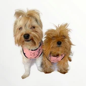 Pink İstanbul Atlet Köpek Kıyafeti  Köpek Elbisesi - 2