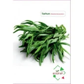 TARHUN TOHUMU 50 ADET - 1
