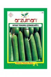 Çengelköy Tipi Hıyar Tohumu 10 gr - 1