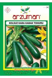 Siyah Kabak Tohumu 10 Gram - 1
