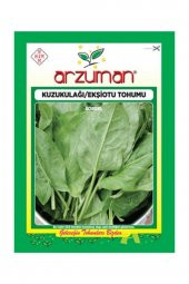 Kuzukulağı/Ekşi Otu Tohumu - 1