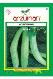 Acar Acur Tohumu 10 Gram - 1