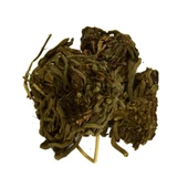 Doğal Kediotu Kökü Saf Kedi Otu Kök Bitkisi 100GR Valerian Root - 5