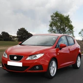 Seat Ibiza 2009-2017 Sol Arka Kapı İç Açma Kolu Parlak 6J4839113 - 2