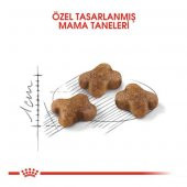Royal Canin Kitten 36 Yavru Kedi Maması 10 Kg - 3