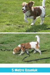 Güvenli Ve Konforlu 5 Metre Kedi Ve Köpek Gezdirme Sevk Kayışı - 5