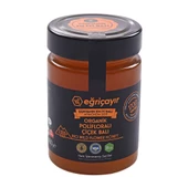 Eğriçayır Organik Polifloralı Bal 450 Gr - 1