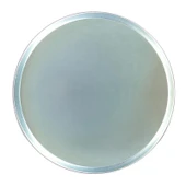 Pizza Tavası Alüminyum 26 cm - 1