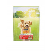 Friskies Etli Aktif Köpek Maması 2,4 Kg. - 1