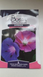 BÜŞRA SARMAŞIK ÇİÇEK  TOHUMU  100 YÜKSEK VERİMLİDİR. - 1