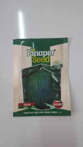 Pinaper Seed KAVUN HASAN BEY Tohumu 1 Paket 100 Yüksek Verimlidir. - 1