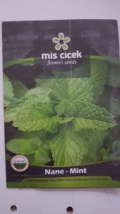 KOÇAĞRO NANE Tohumu 1 Paket 100 Yüksek Verimlidir. - 1